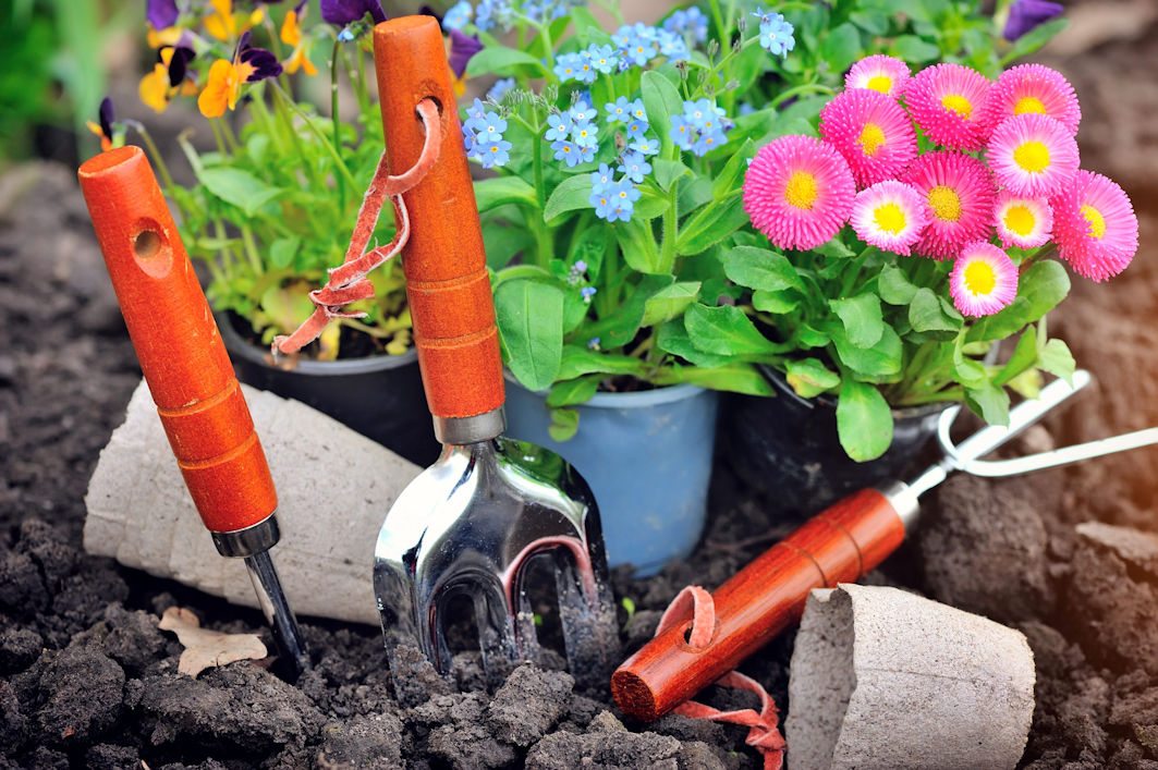 Gardening